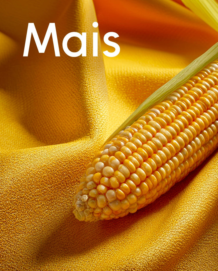 Mais