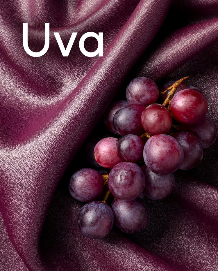 Uva