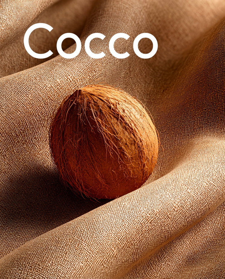 Cocco